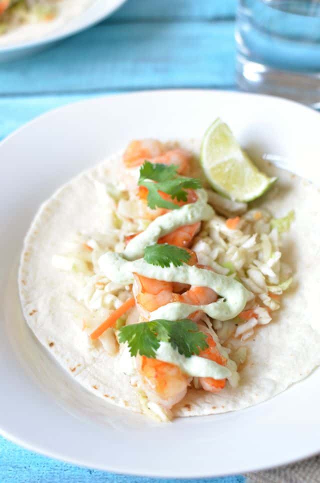 shrimp taco